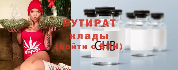 соль ск Новозыбков
