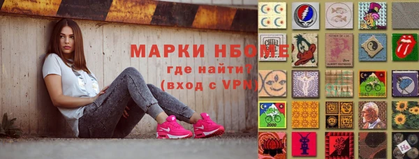 соль ск Новозыбков