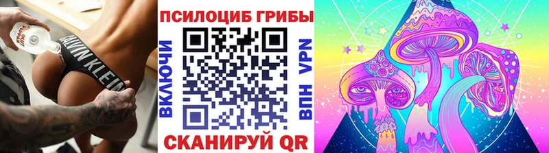 Купить  Сортавала  Галлюциногенные грибы прущие грибы 